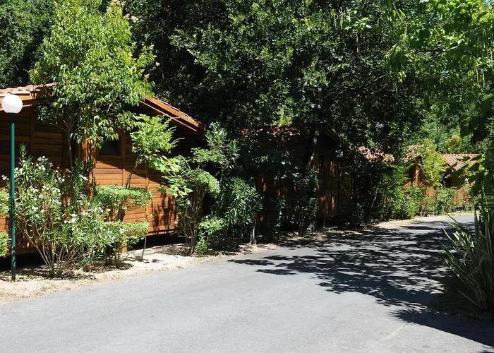 Camping: Seven Hills Village