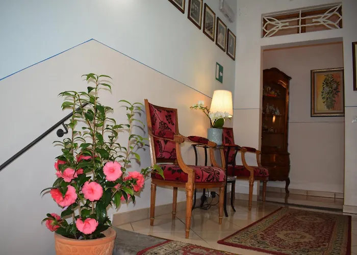 Hotel adatto agli animali: Hotel Dalmazia