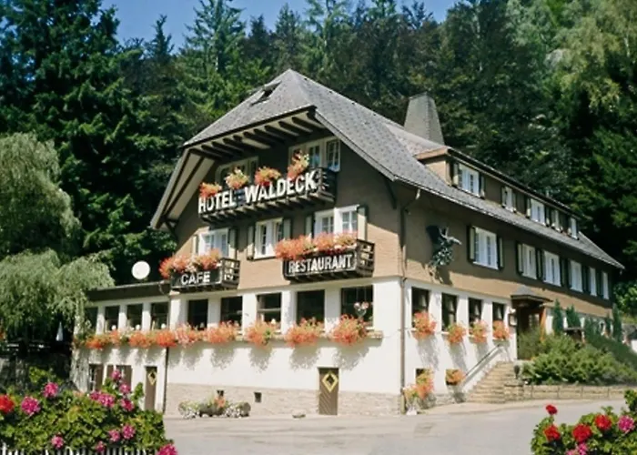 Hotel mit Aussicht: Hotel Waldeck in Todtnau
