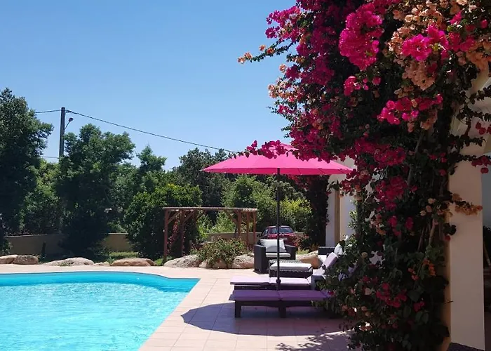 Hôtel accueillant les animaux: Cyrnea B&B - Adults Only